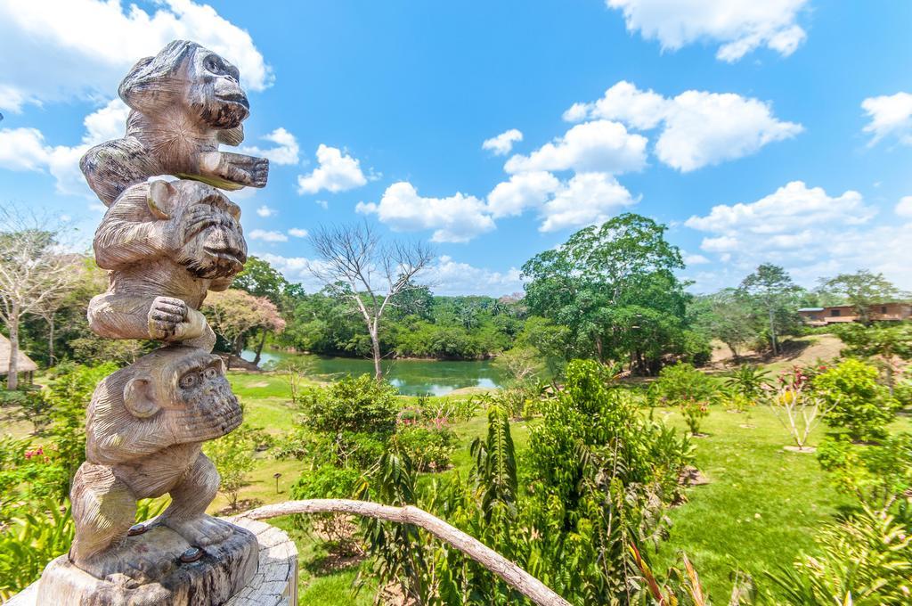 Dream Valley Belize Teakettle Village Extérieur photo