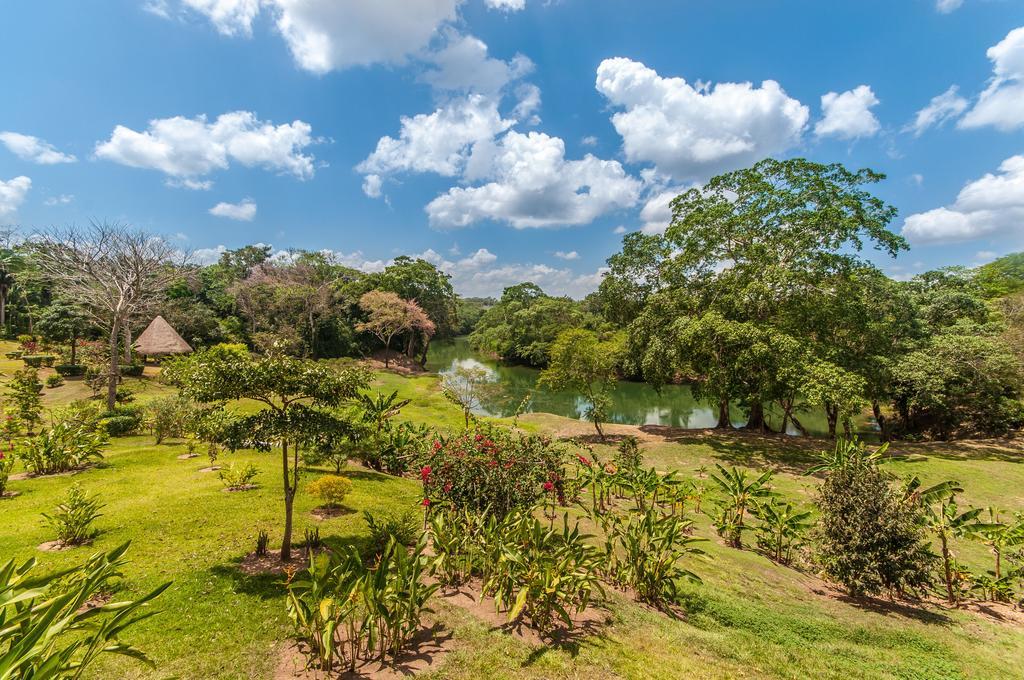 Dream Valley Belize Teakettle Village Extérieur photo