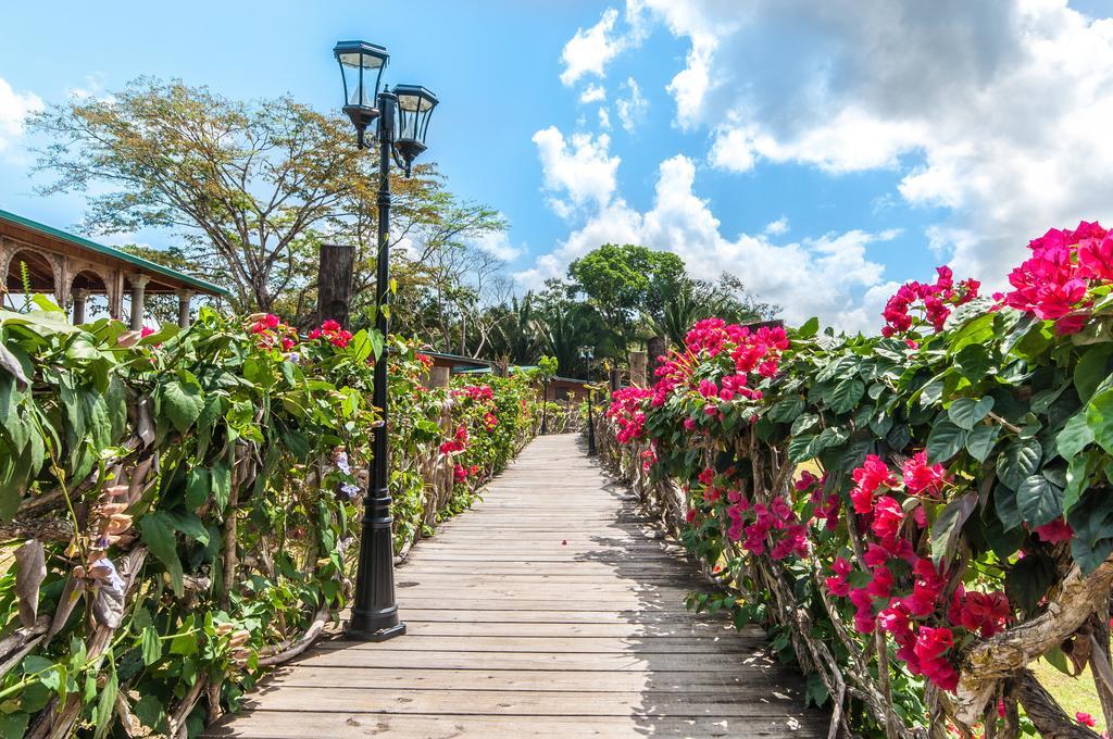 Dream Valley Belize Teakettle Village Extérieur photo