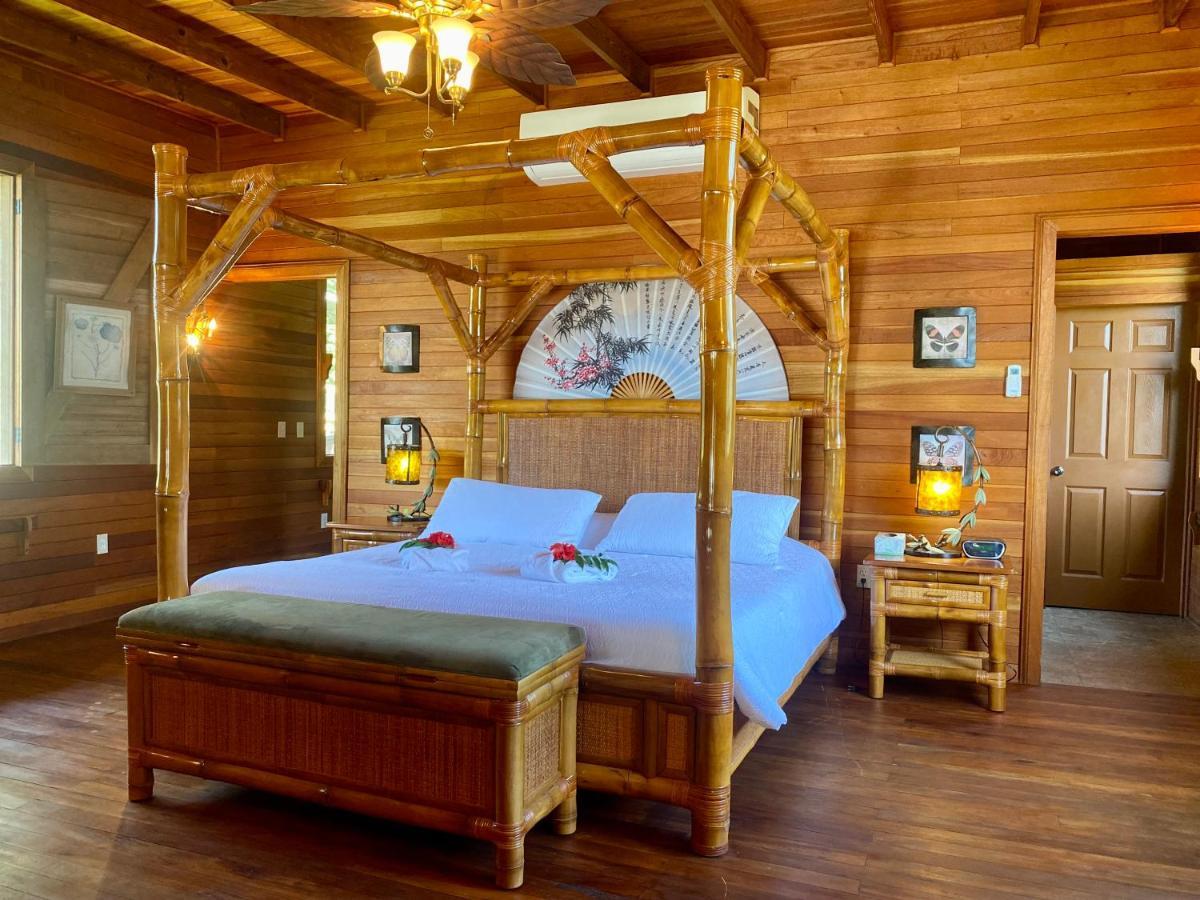 Dream Valley Belize Teakettle Village Extérieur photo