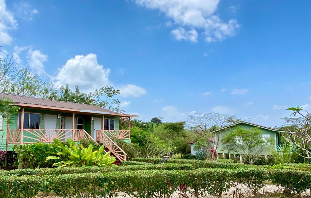 Dream Valley Belize Teakettle Village Extérieur photo